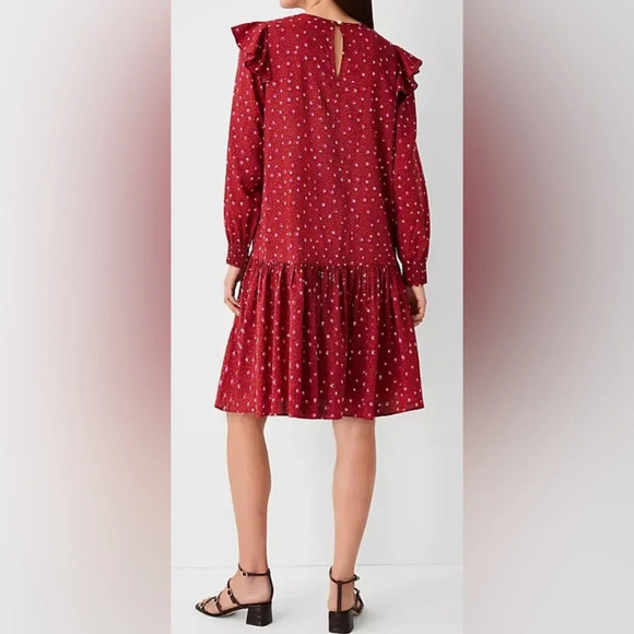 Ann Taylor LOFT Floral Ruffle Trim  Shift Dress Sz S - Picture 4 of 13
